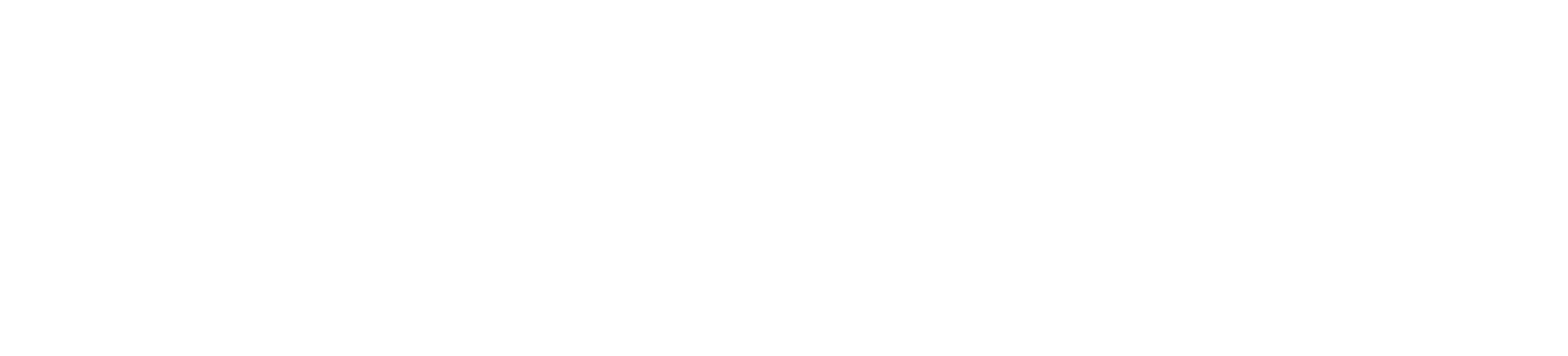 Conversion-Hacker-logo-white